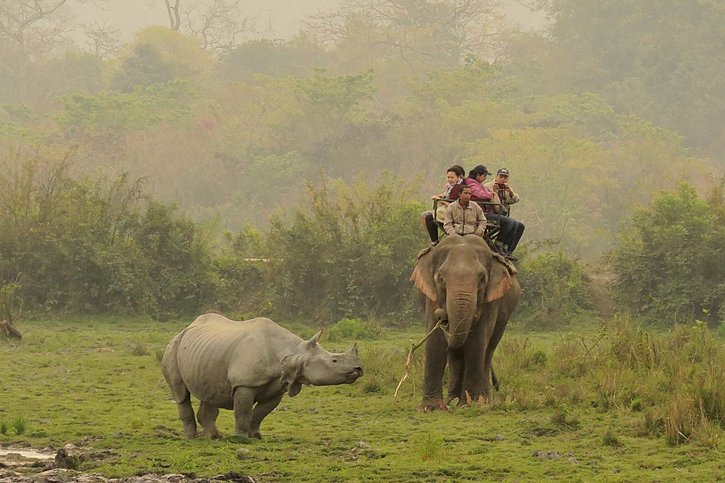 Arunachal at A Glance: STIN-2504